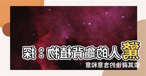 龜背 意思